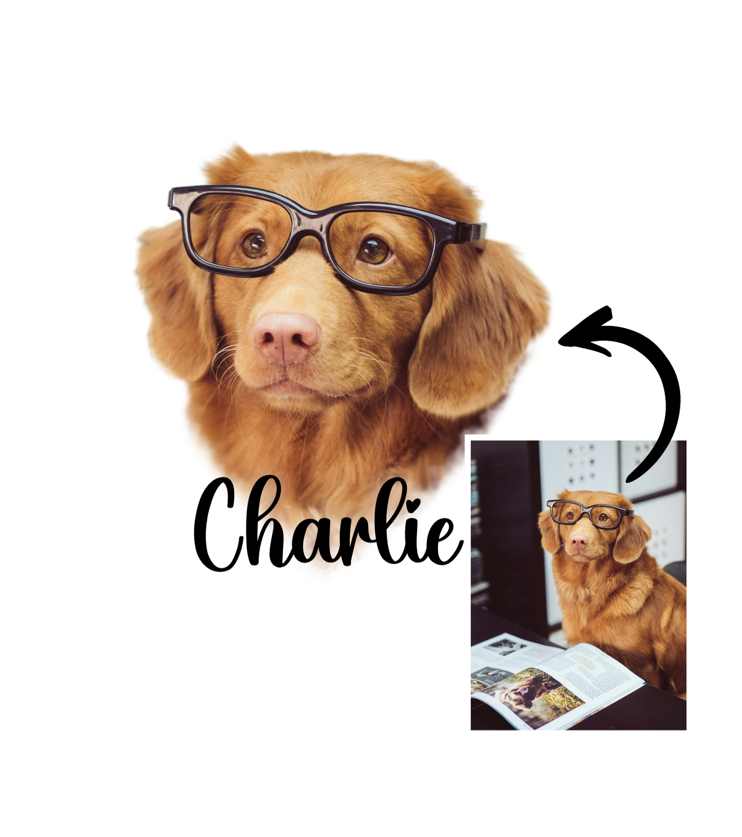#1004 Personalized dog mug with name and picture – Funny & Custom Coffee Cup/Mug with Name or Quote | 11oz & 15oz